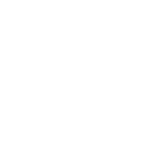 Insurance Icon Glyph-04