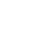 Insurance Icon Glyph