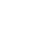 auto insurance collision coverage